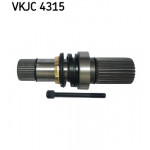 SKF Steckwelle, Differential